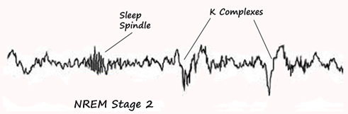 binaural sleep collective horizontal oscillation